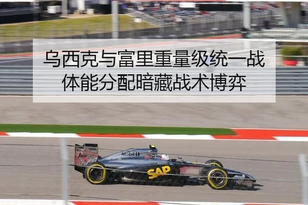 乌西克与富里重量级统一战 体能分配暗藏战术博弈