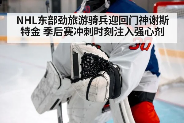 NHL东部劲旅游骑兵迎回门神谢斯特金 季后赛冲刺时刻注入强心剂