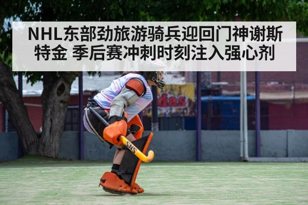 hockey goalkeeper save